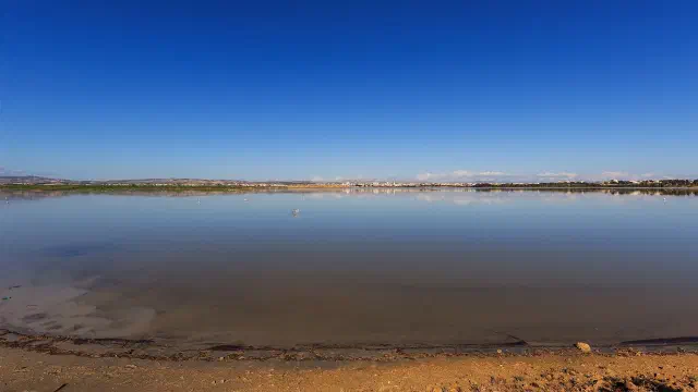 Het zoutmeer van Larnaca met de oever op de voorgrond